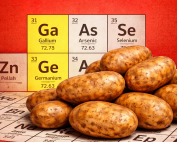 Potato with Show more images Periodic Table of the Elements backdrop